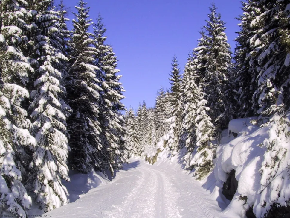 Bjørnebergveien i vinterprakt