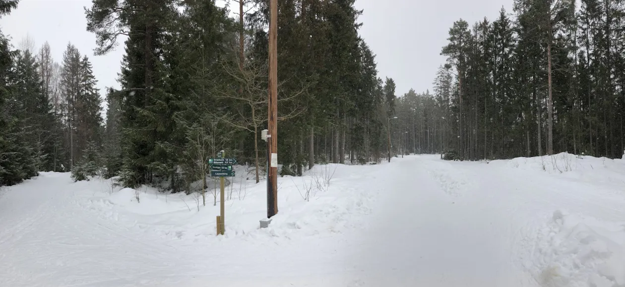 Flere valg i Son Flere valg i Son