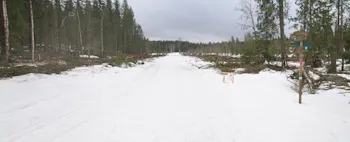 Bærum kommune er i gang med å restaurere Jongsmyr og Semsmåsan, og har derfor gått i gang med å hugge en del trær.