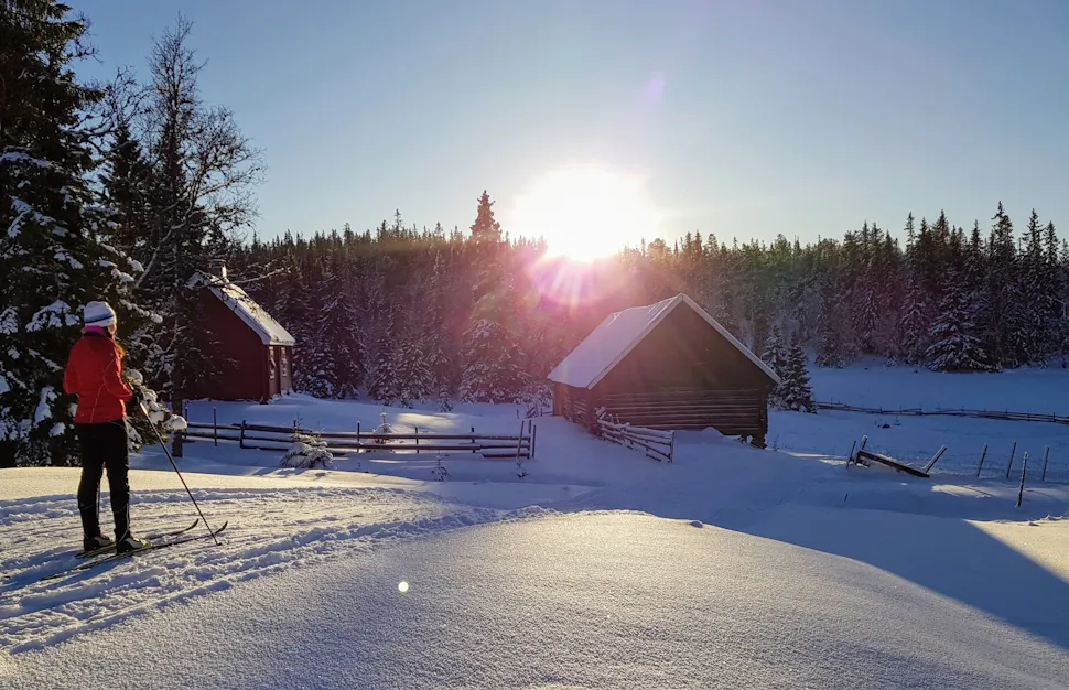 Lav sol over Finnskjeggholen