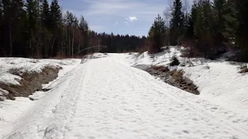 På Lyfjellveien var det også partier med rikelig snø i dag.