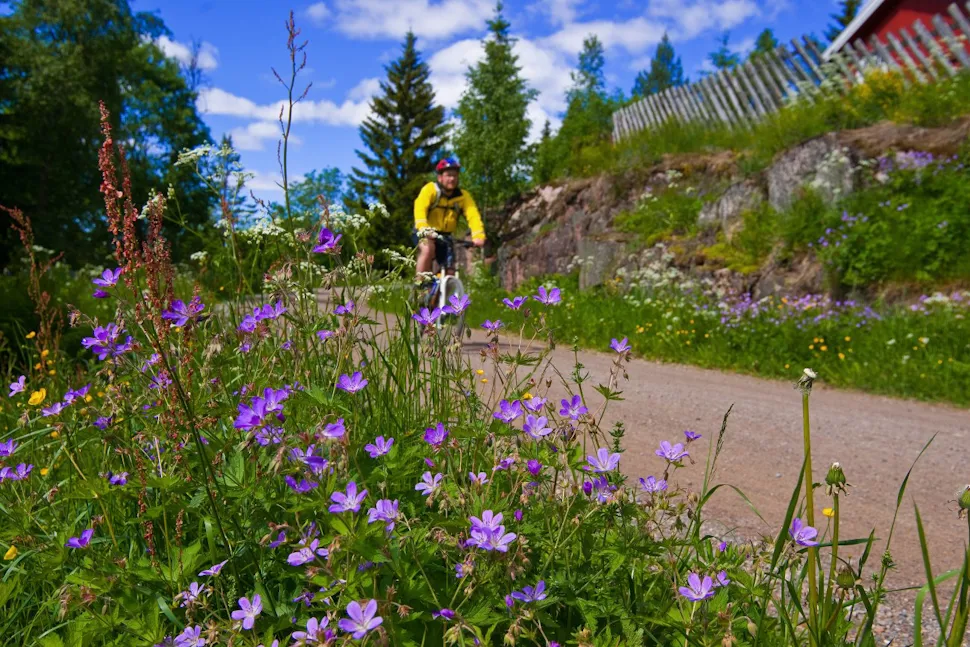På sykkel i blomsterland