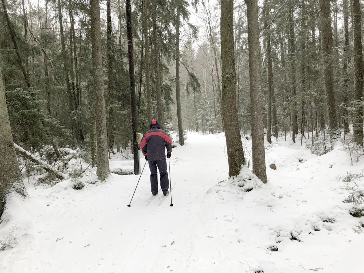 Skiglede i Son Skiglede i Son