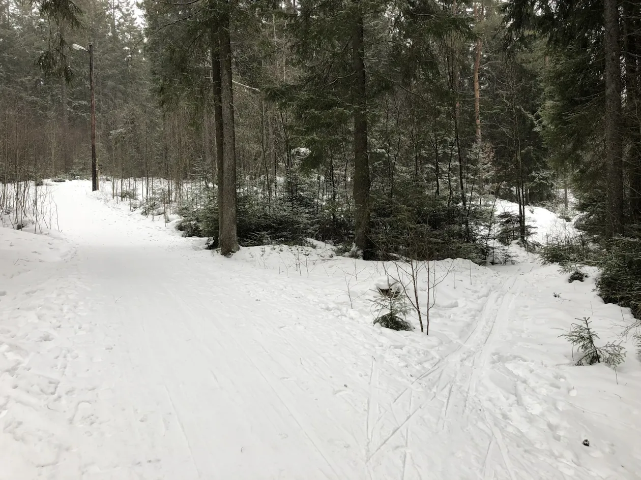 Snarvei mot Labo Snarvei mot Labo