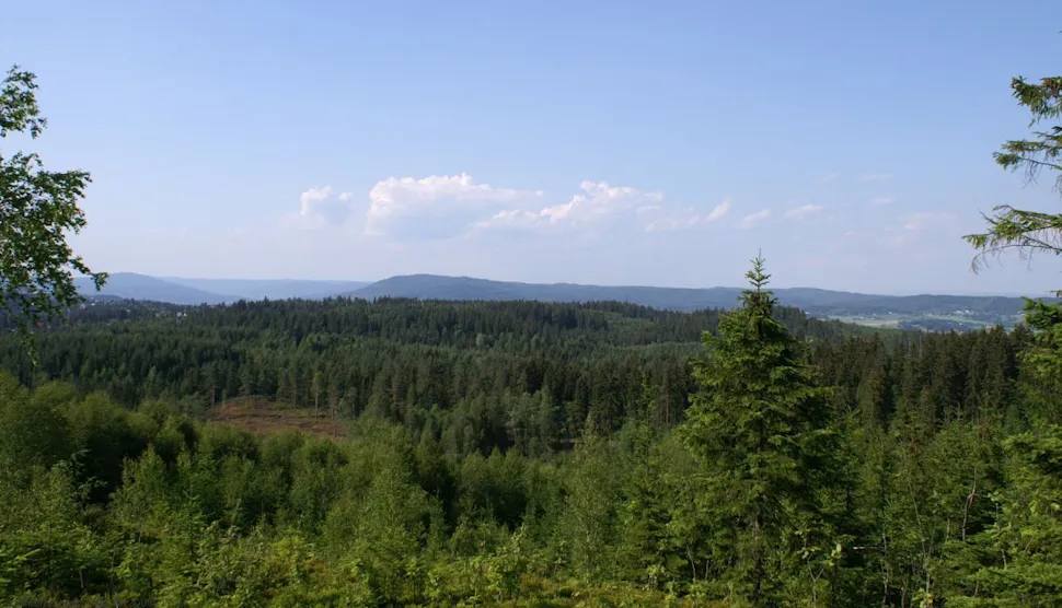 Utsikt mot nord fra Gjelleråsen