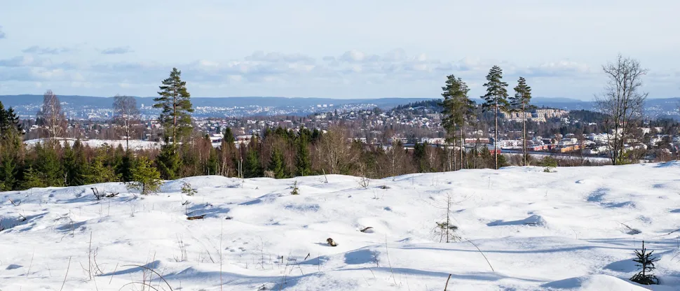 Utsikt mot Oslo, Eiksmarka og Østerås