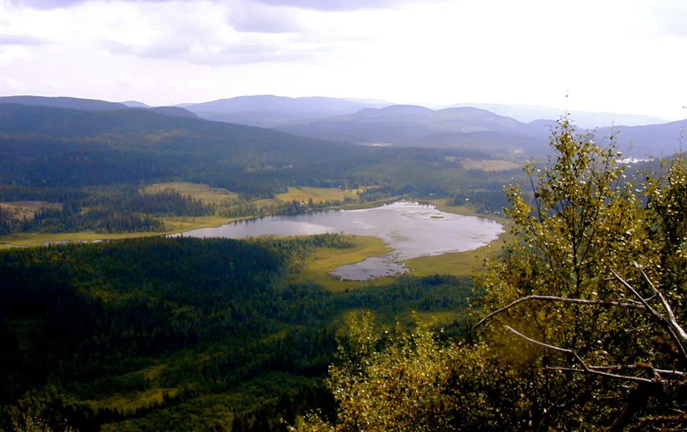 Utsikt mot Randsjøen fra Hvalebykampen
