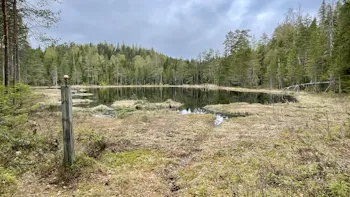 Ved Biritjern var det en kjentmannspost i 1980. Her er det kun ørret, ifølge Lørenskog jeger & fisk, som kultiverer vannet. Ifølge dem er det ingen teltplasser langs vannet.