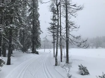 I høyden i Lillomarka var det kommet 5–10 cm snø i dag, det minnet mer om jul enn påske.