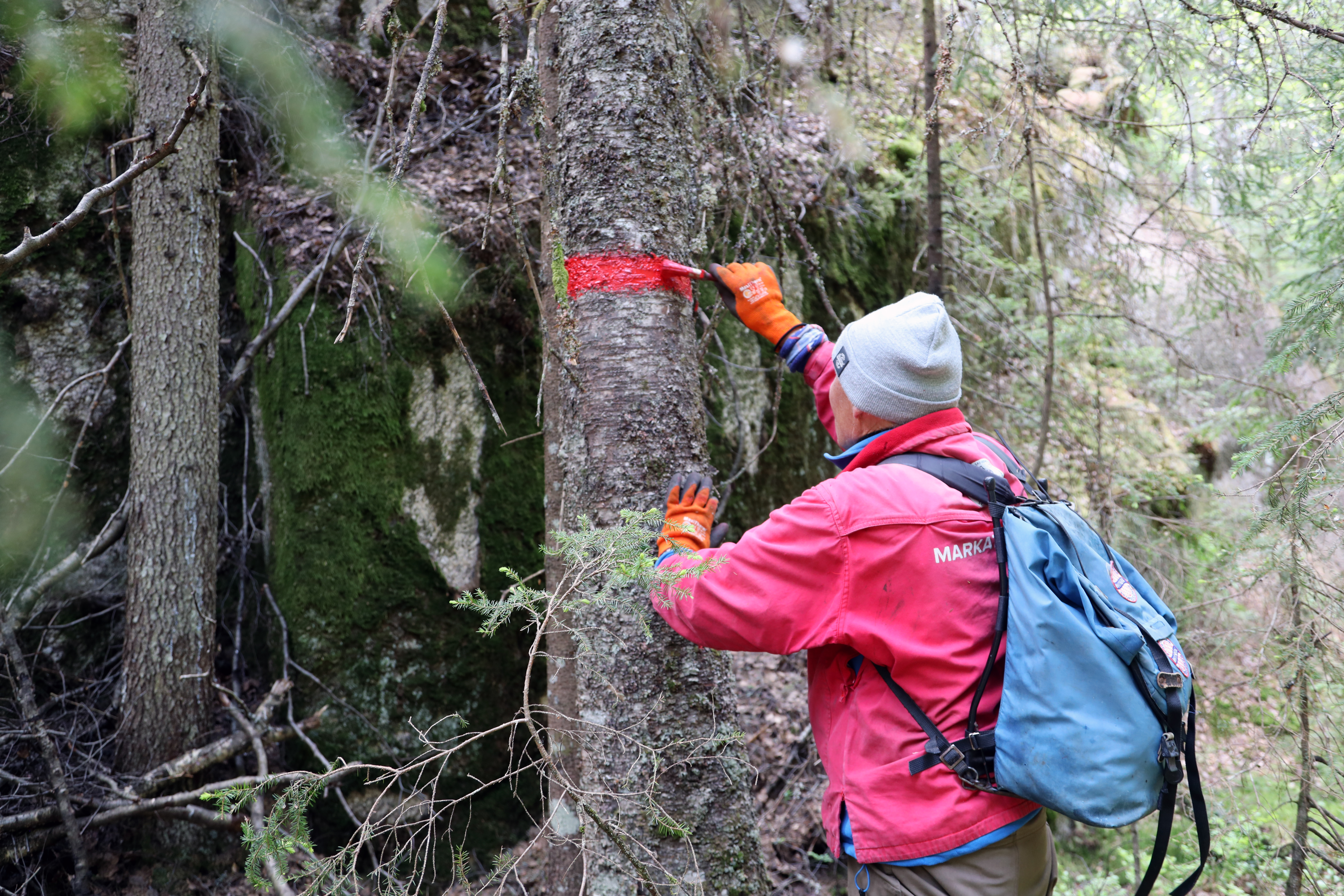 Mann maler på tre i skogen