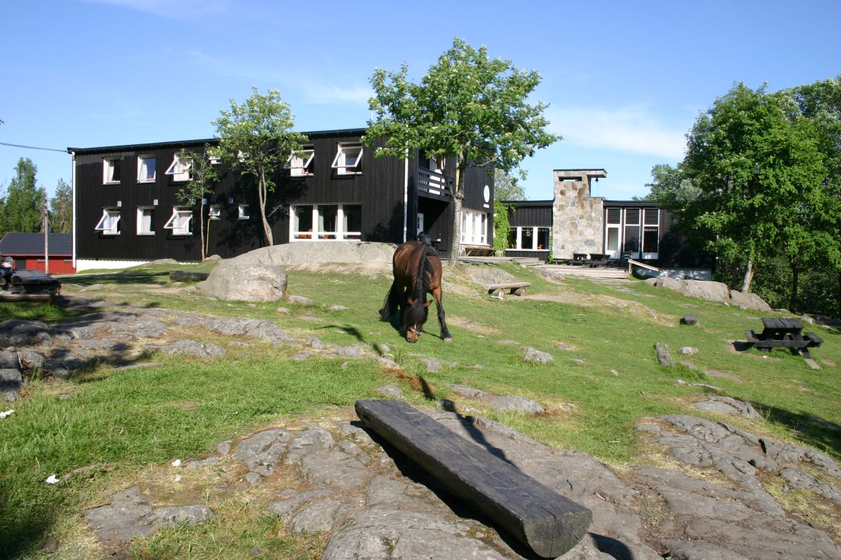 2008_Vangen i sommersol_Eivind Molde.JPG