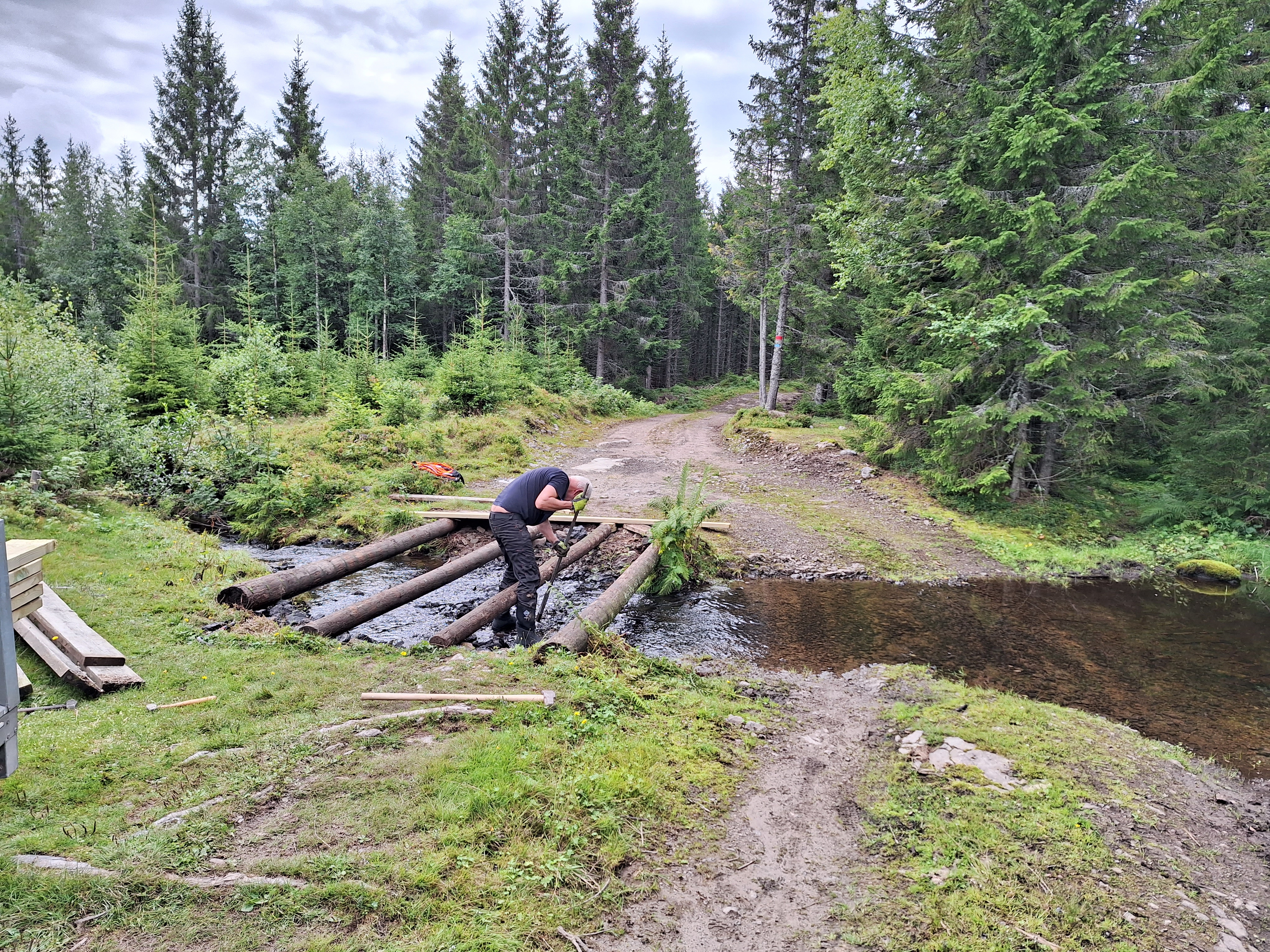 sørsetra, krokskogen, kjell, 14-8-23.jpg