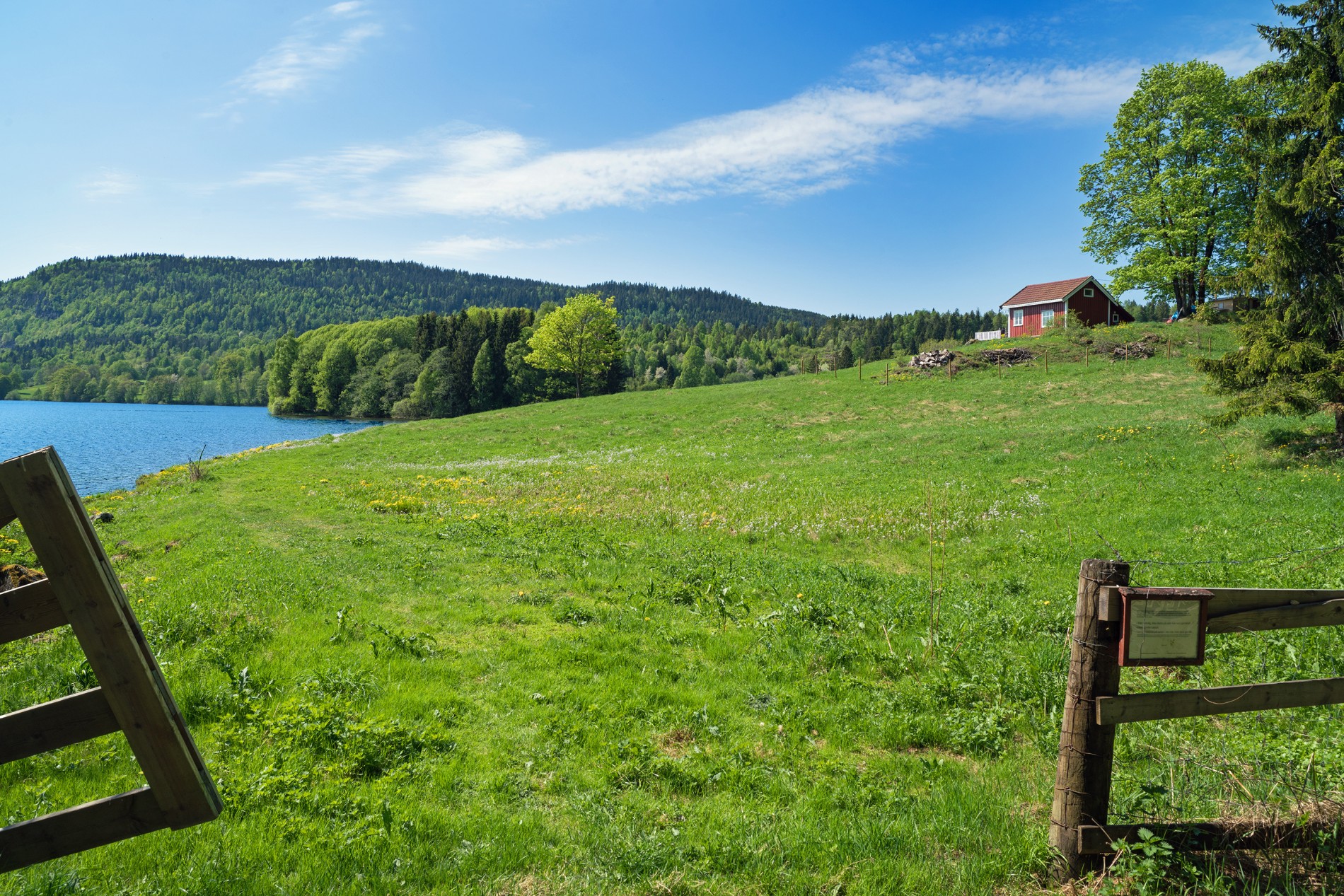 Forsommer_ved_Semsvannet_SKF_19764_Foto_Erik_Unneberg.JPG