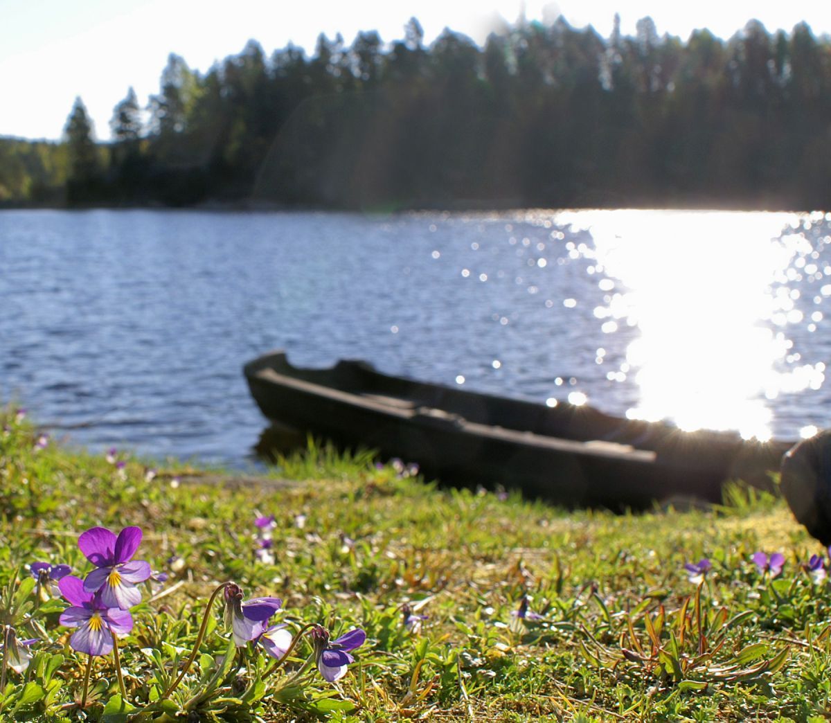 Natt_og_dag_om_morgenen_SKF_33191_Foto_Erik_Unneberg (1).JPG