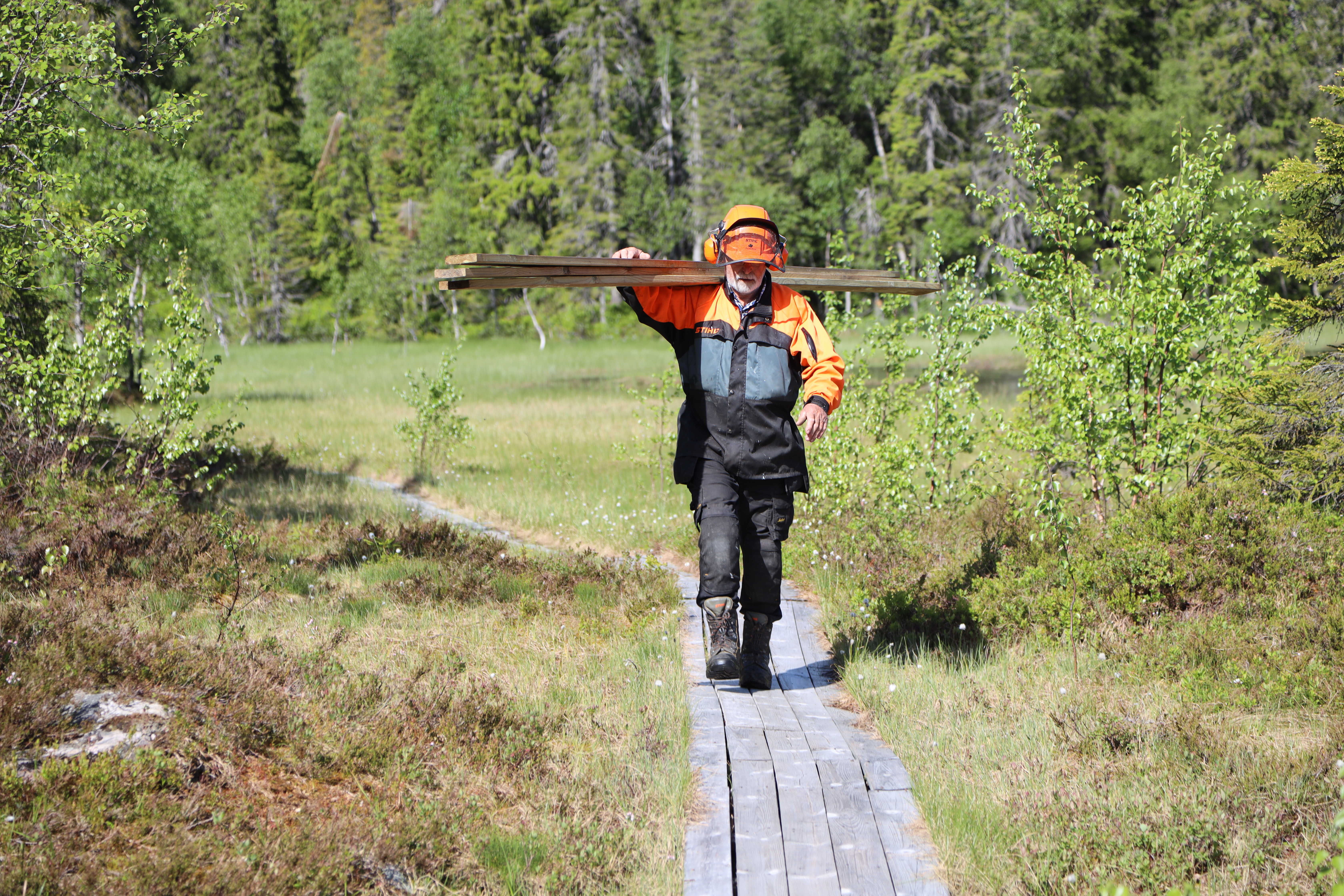 Mann som bærer planker på skulderen i Marka.