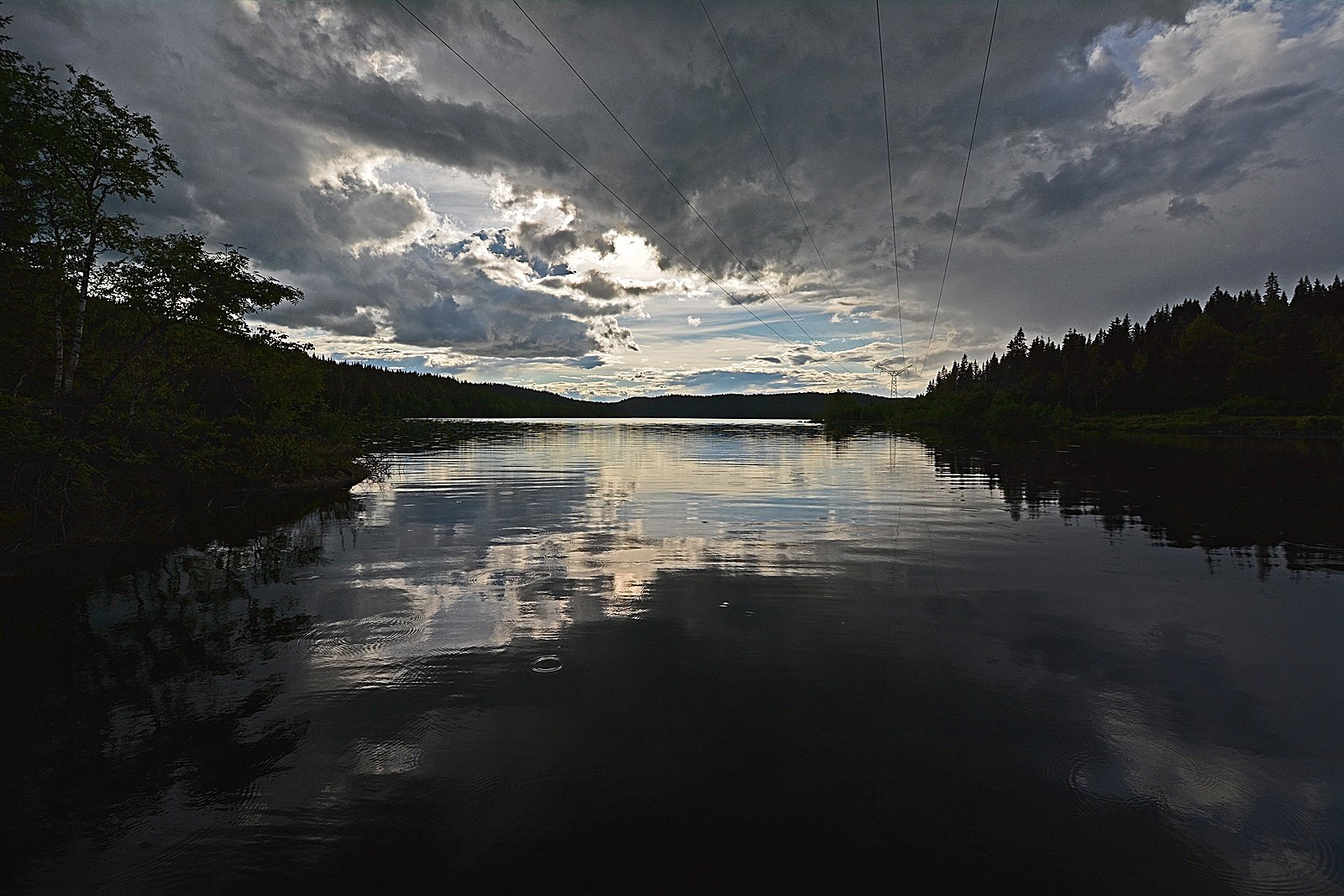 Heggelivann i kveldslys