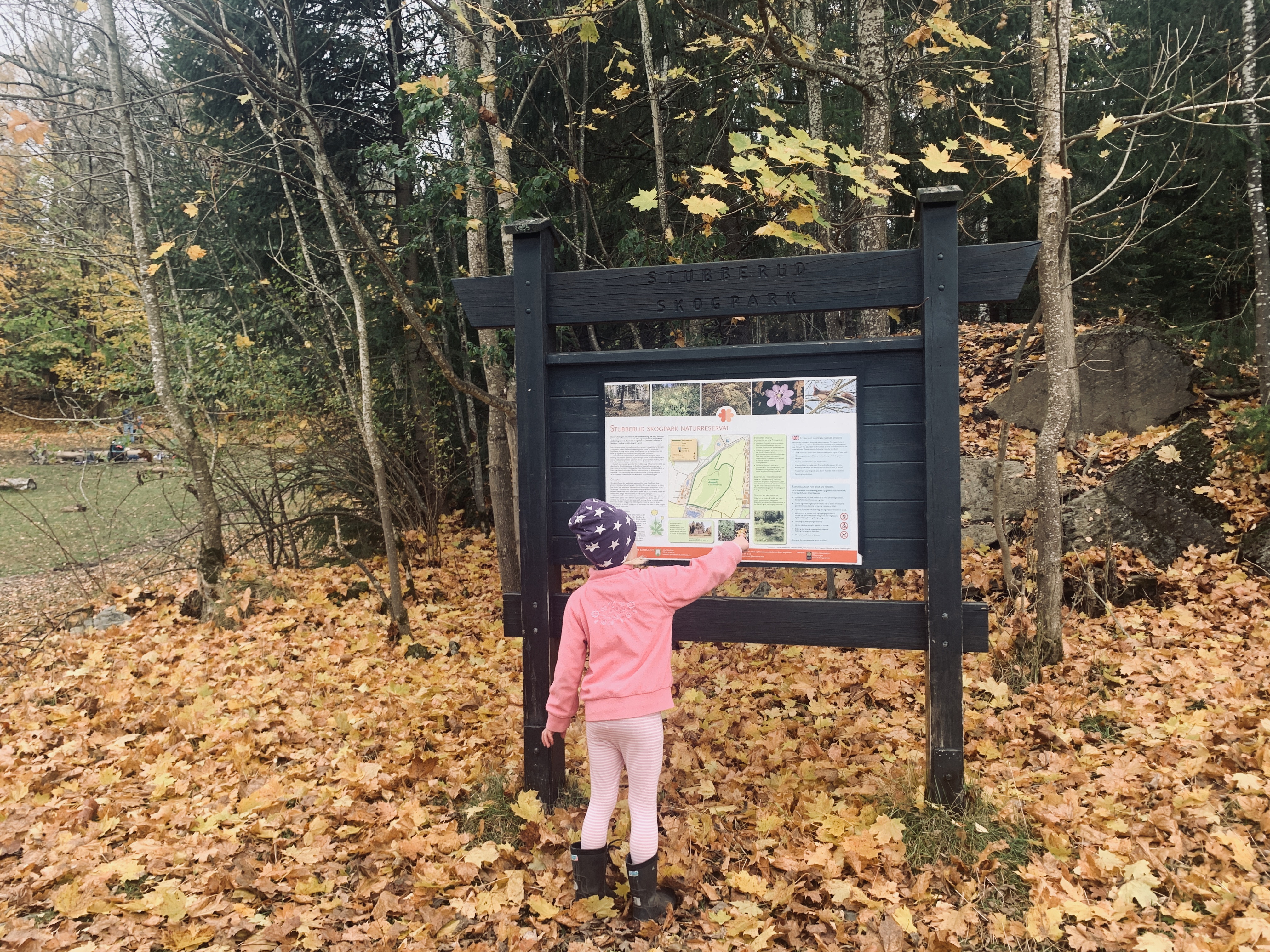 Jente ved kart over Stubberud nasjonalpark.