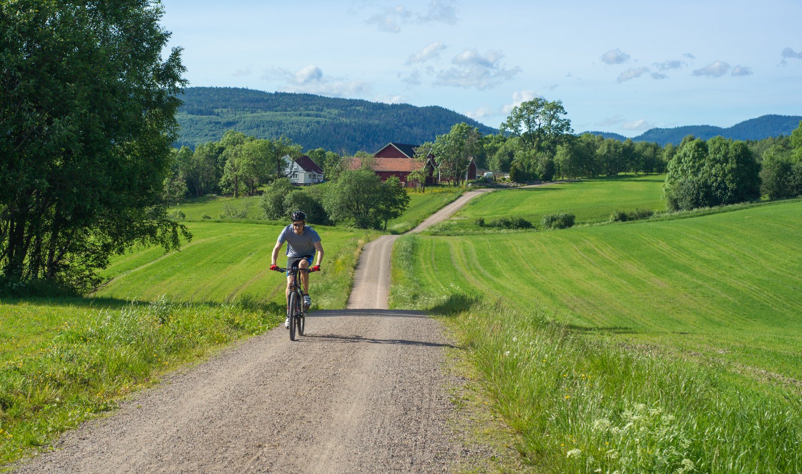 Grusvei og åker ved Maridalsvannet.