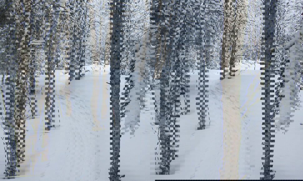 I scooterspor mot Børsvollvegen