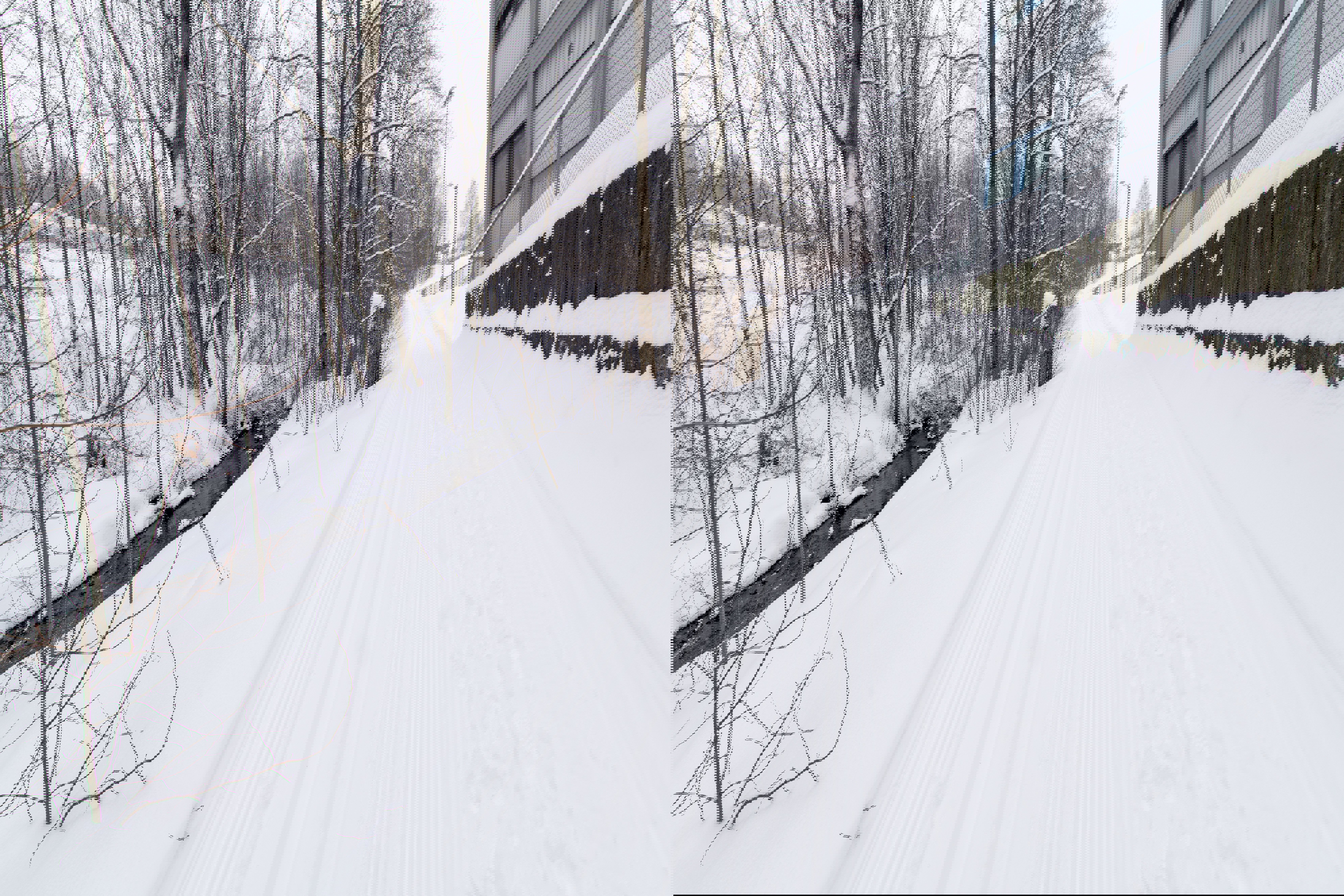 Silkeføre langs Drengsrudbekken