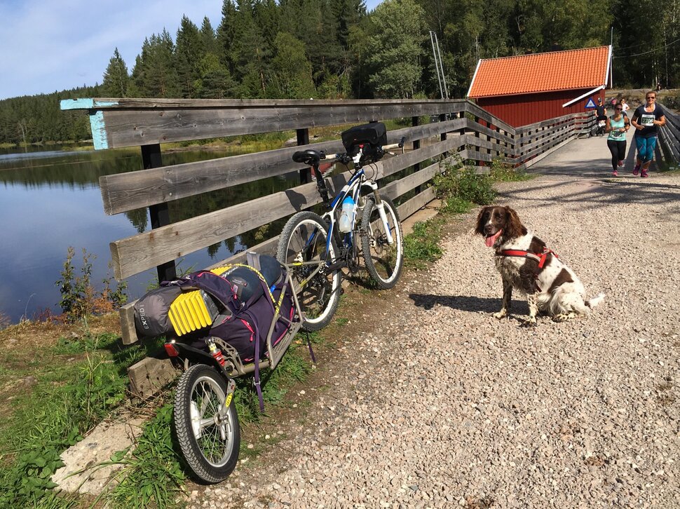 På vei til natt i naturen