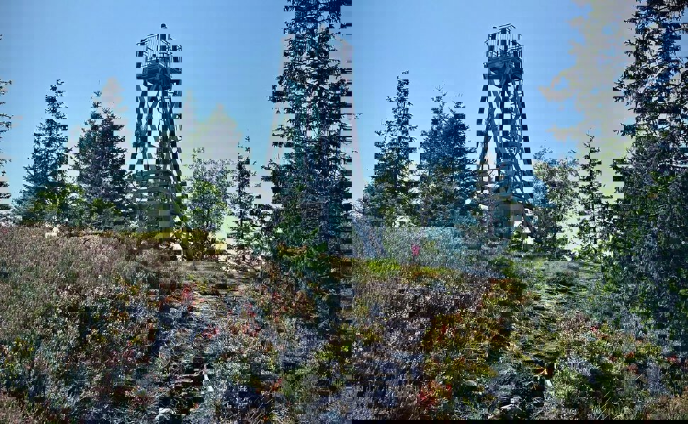 Utkikkstårnet på Rovolsvarden (Raudfjell øst)