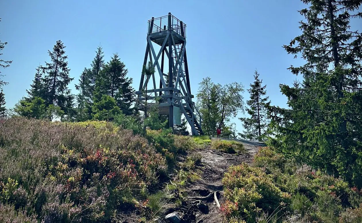 Utkikkstårnet på Rovolsvarden (Raudfjell øst) Utkikkstårnet på Rovolsvarden (Raudfjell øst)
