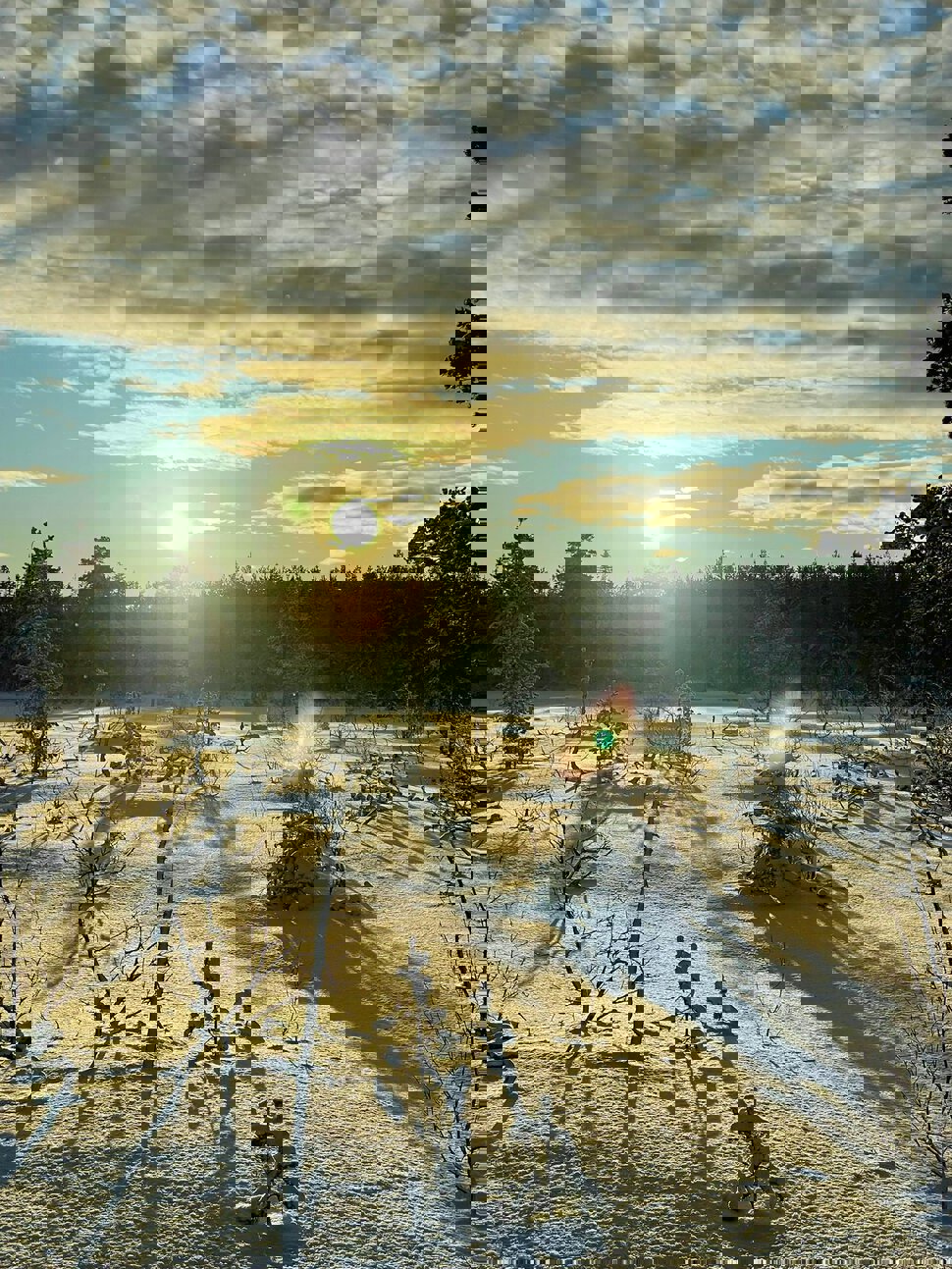 Julekort fra Skreitjerna