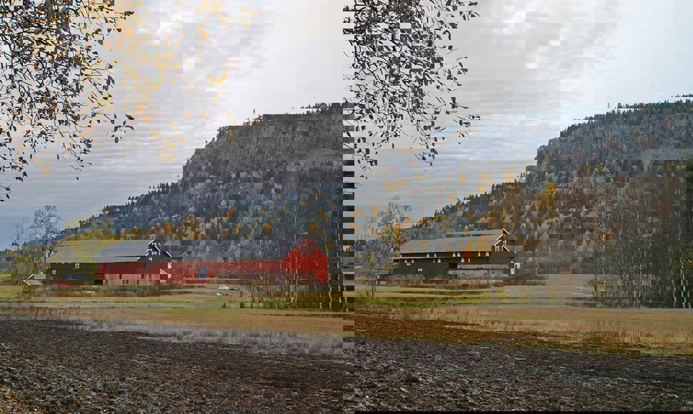 Høst ved Dæli gård