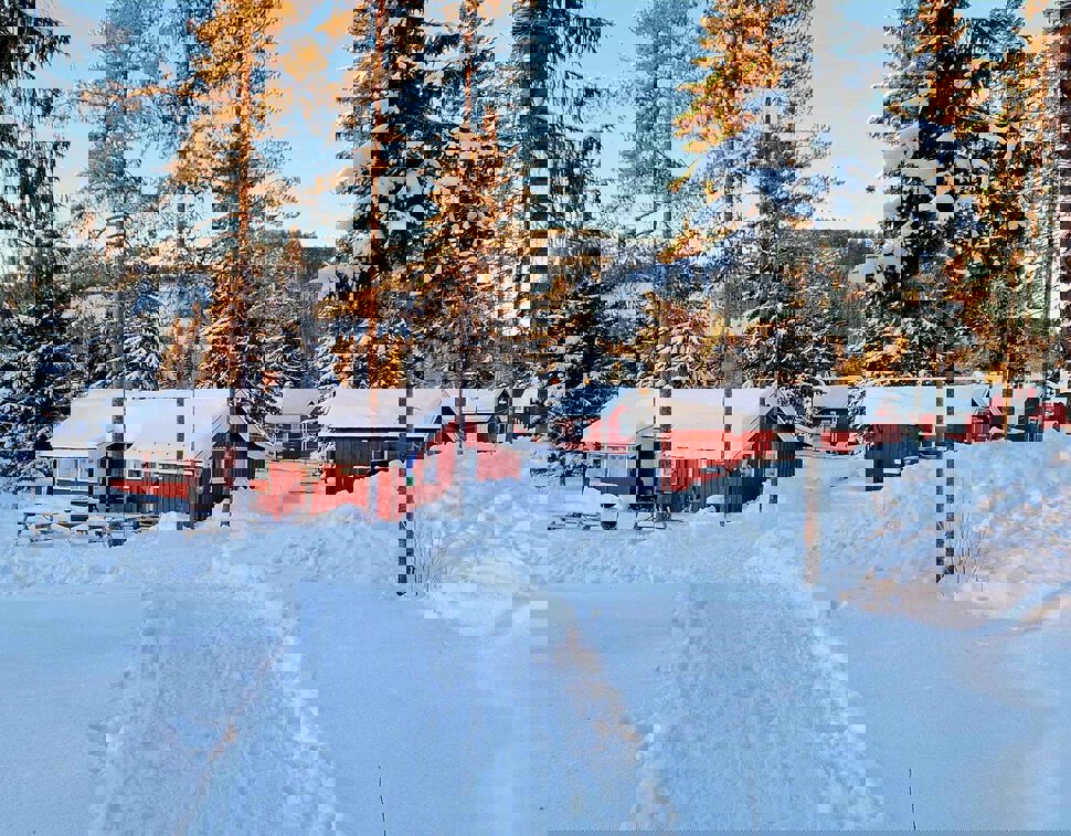 Vinter på Skjervestua