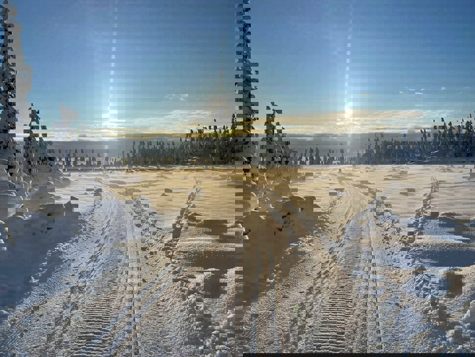 Strøkne forhold på Totenåsen