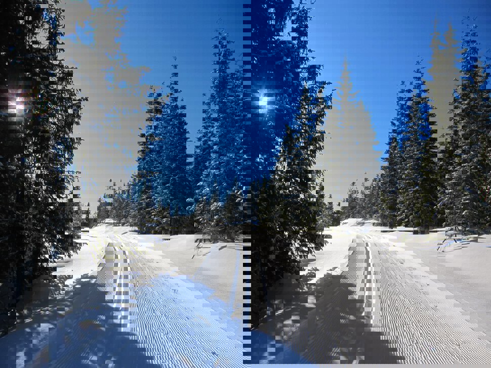 Vestover fra Læssplassen