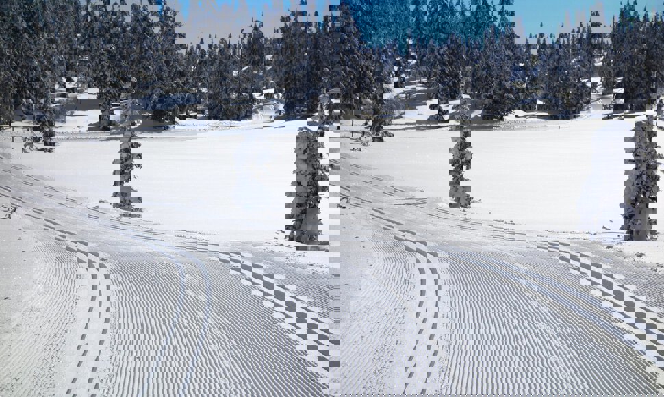 Årets flotteste skitur på Totenåsen