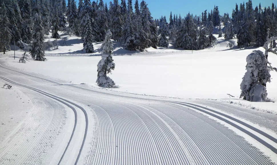 Årets flotteste skitur på Totenåsen