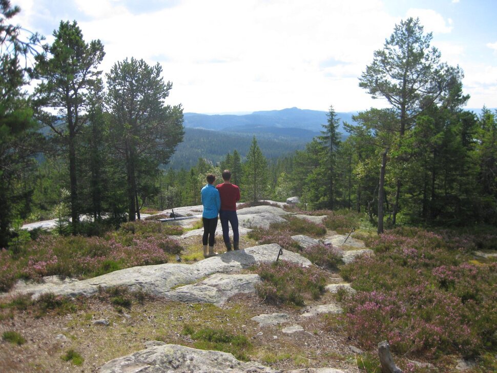 Mot Gyrihaugen