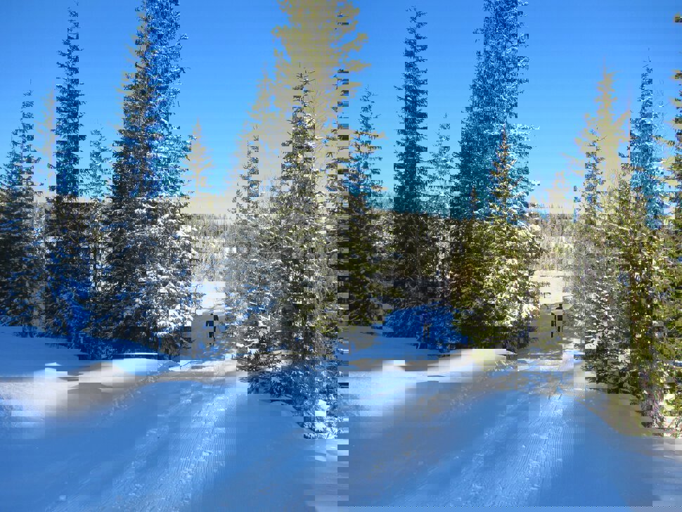 Nordover langs Kroktjern