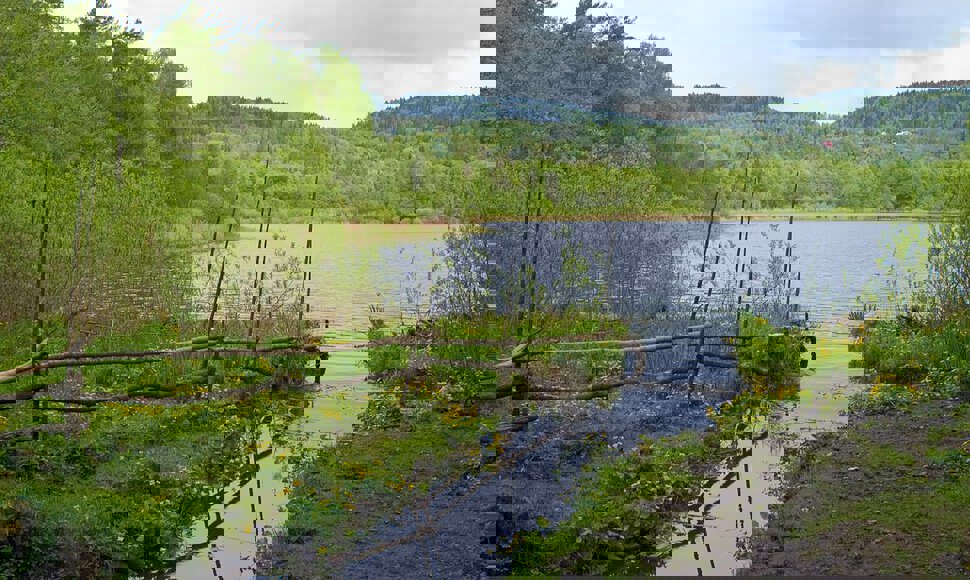 Tid og sted for seljefløyte