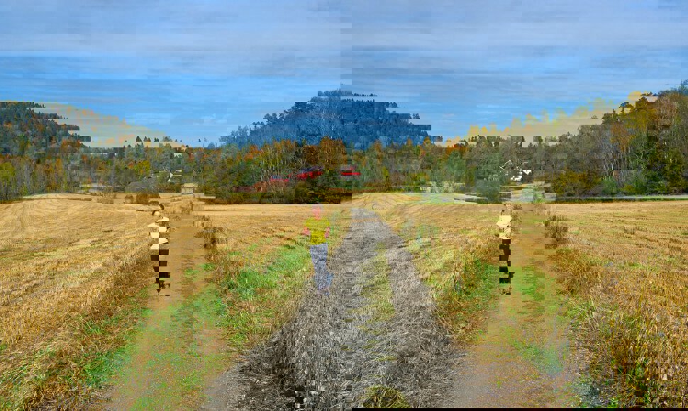 Jogging i drømmevær