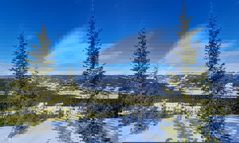 Utsikt fra Gammelhytten