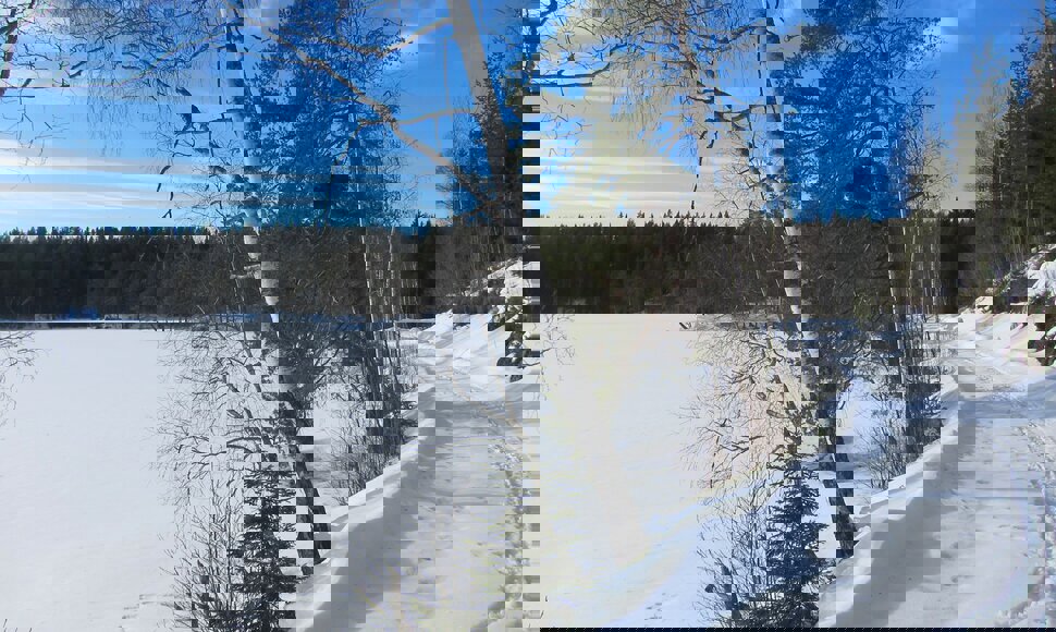 Ved Østre Buttentjern