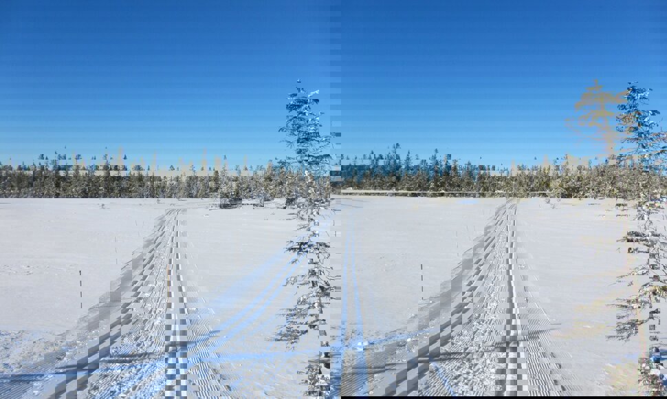 Spor over Tægermyra