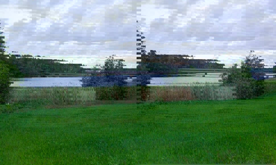 Grønn aften ved Rødsund