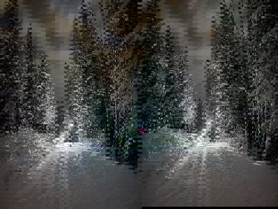 Helt ok forhold innenfor Sporten