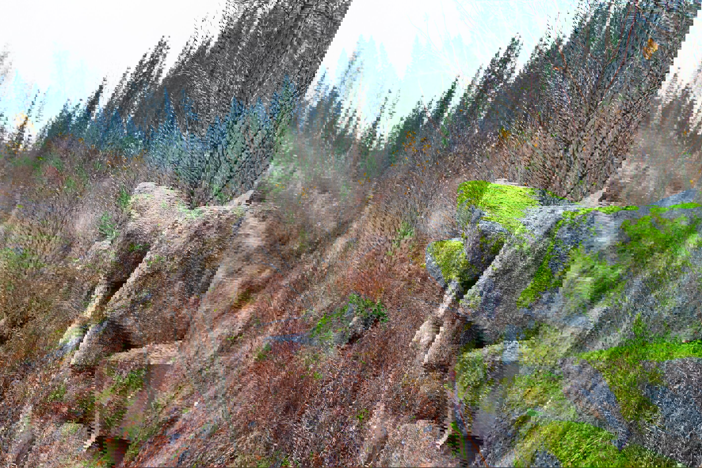 Rester etter Asker skytebane?