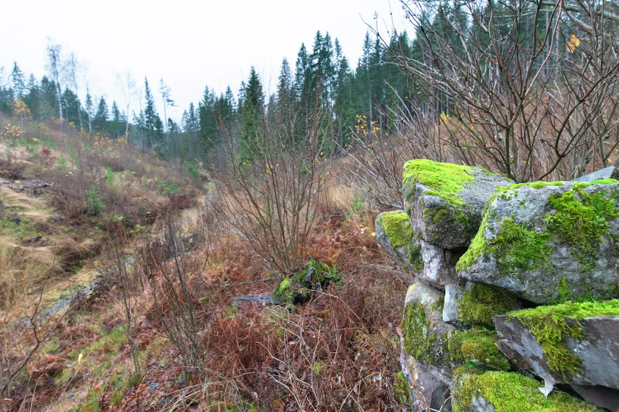 Rester etter Asker skytebane? Rester etter Asker skytebane?