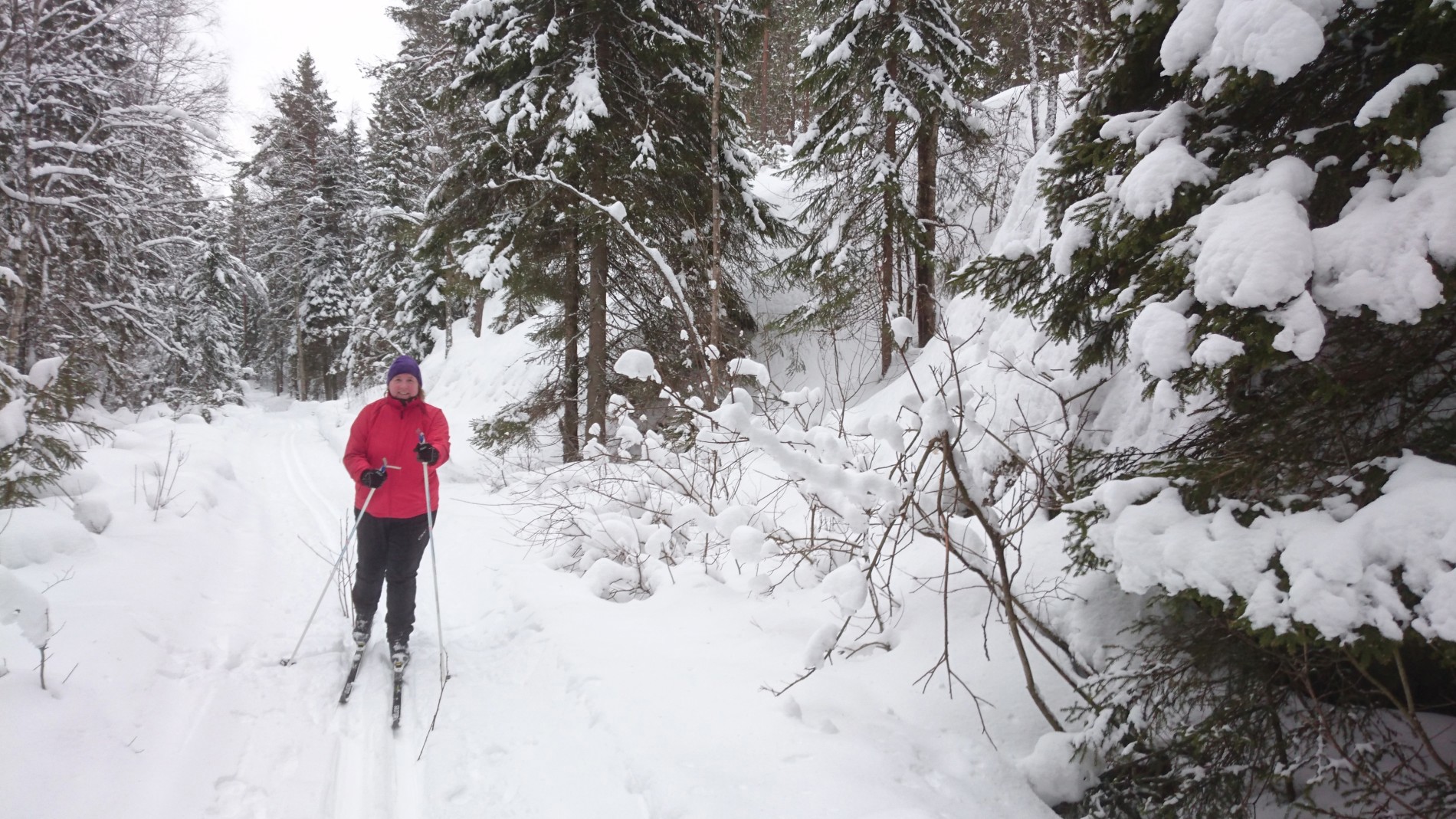 "Flotte forhold i den gamle """"Pensjonistløypen"""""