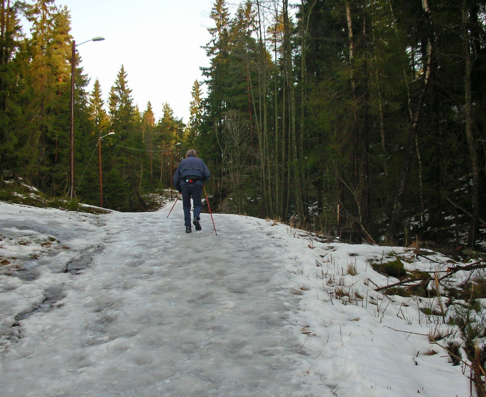 1. juledag med stav og pigg