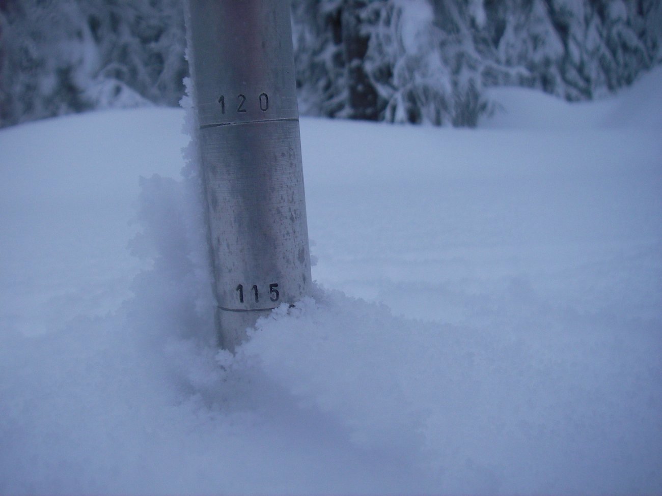 115 cm på Snøploghøgda!