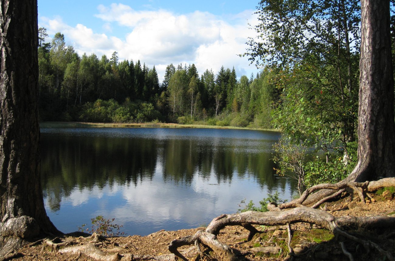 Åbortjern - idyllisk kaffeplass i Vardåsmarka, Asker