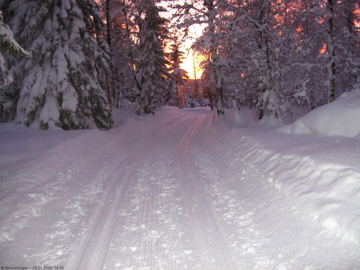 Aftenstemning på Vestergyllen